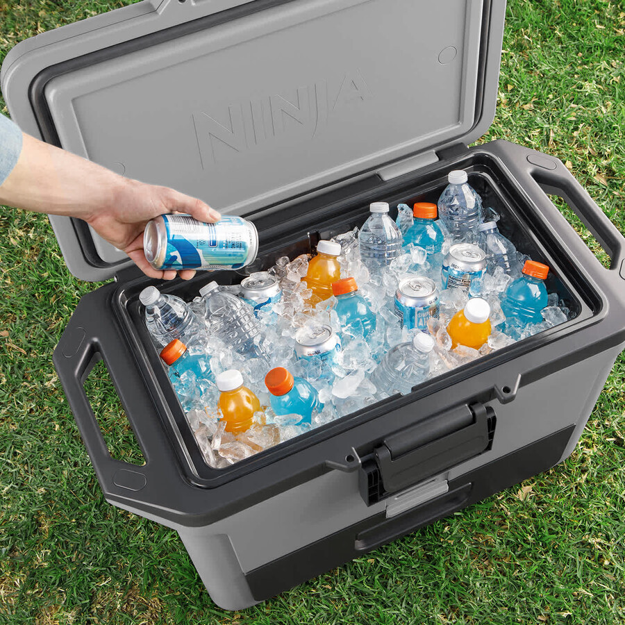 ninja frostvault 50qt47l harde koelbox - leigrijs fb151ukgy
