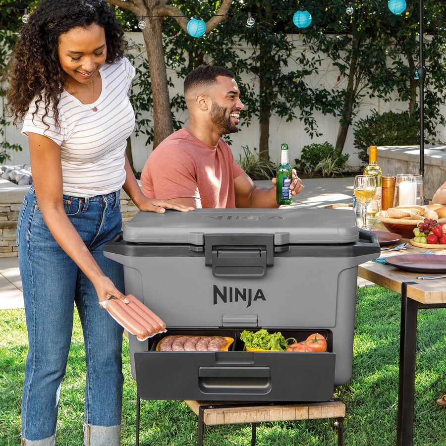 ninja frostvault 50qt47l harde koelbox - leigrijs fb151ukgy