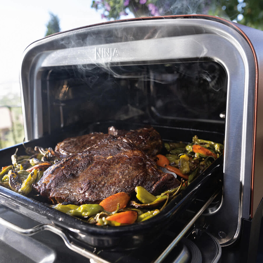 ninja woodfire elektrische buitenoven pizzamaker en barbecue-smoker oo101uk