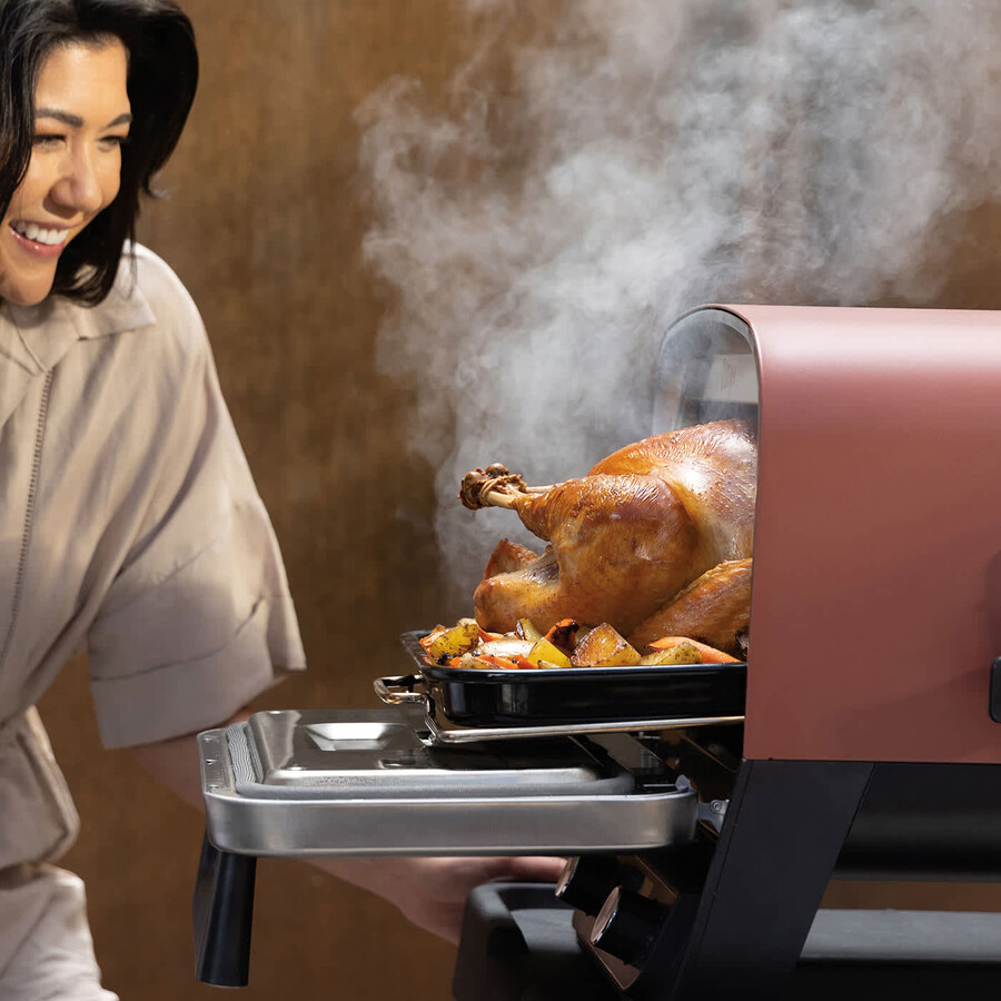 ninja woodfire elektrische buitenoven pizzamaker en barbecue-smoker oo101uk